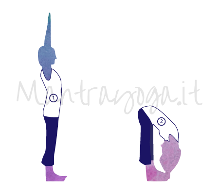 Padahastasana, (posizione delle mani ai piedi), variante dinamica